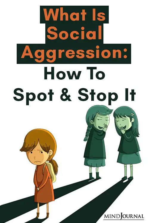 what is social aggression pin