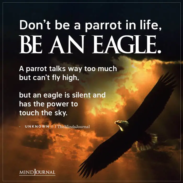 Dont Be A Parrot In life