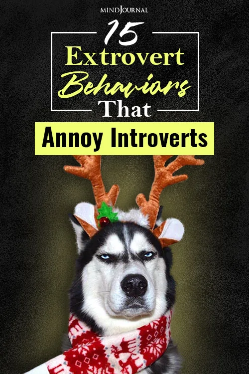Extrovert Behaviors Annoy Introverts pin