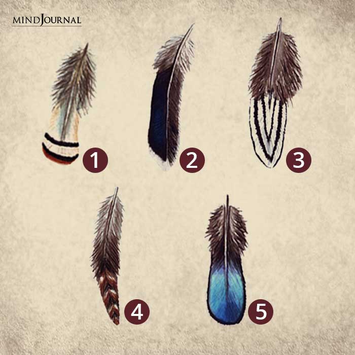 Feather Personality Test Personality internal