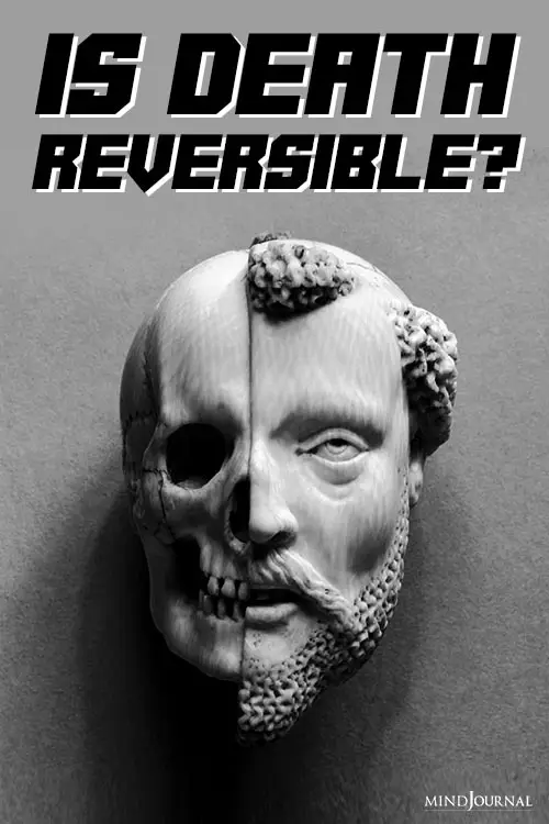 Is Death Reversible pin