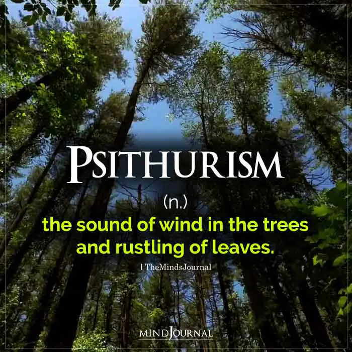 Psithurism The Sound Of Wind In The Trees