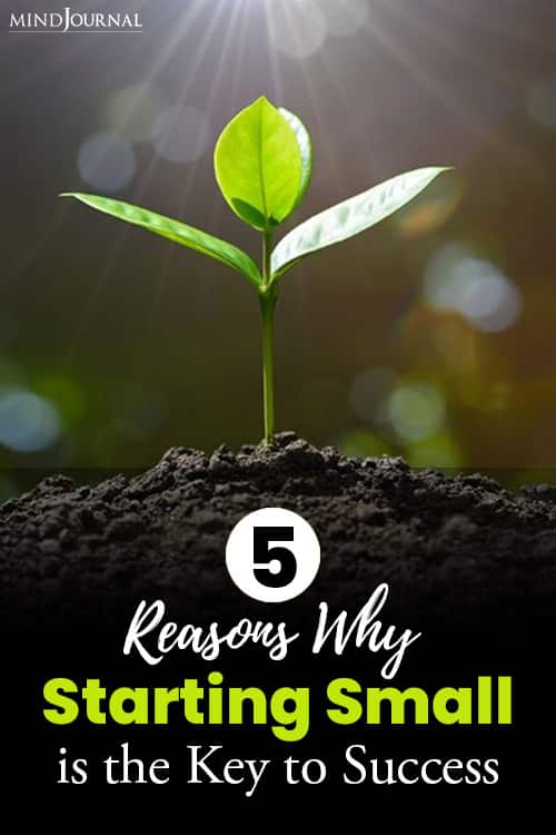 Reasons Starting Small Key to Success pin
