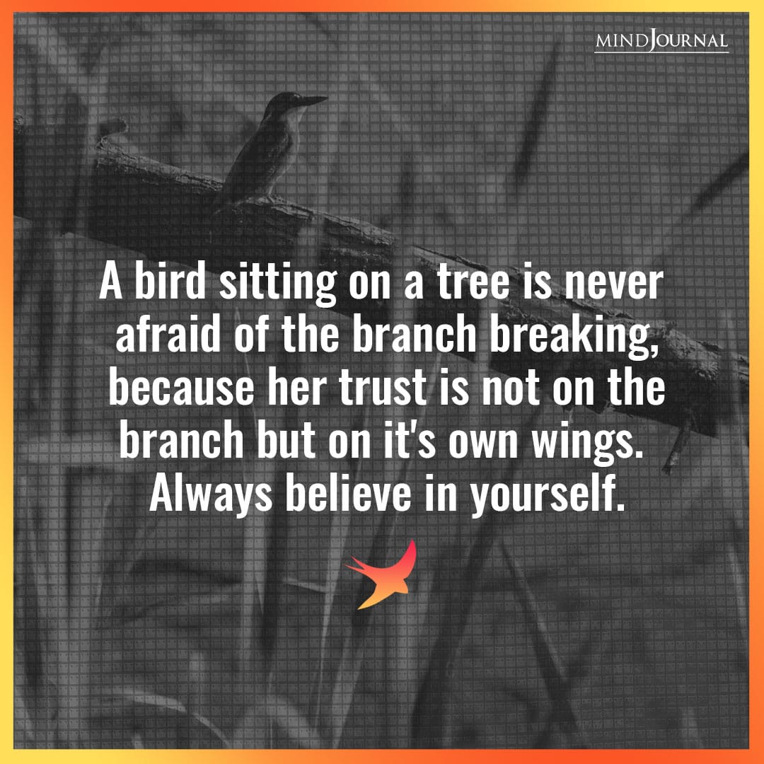 A bird sitting on a tree is never afraid.