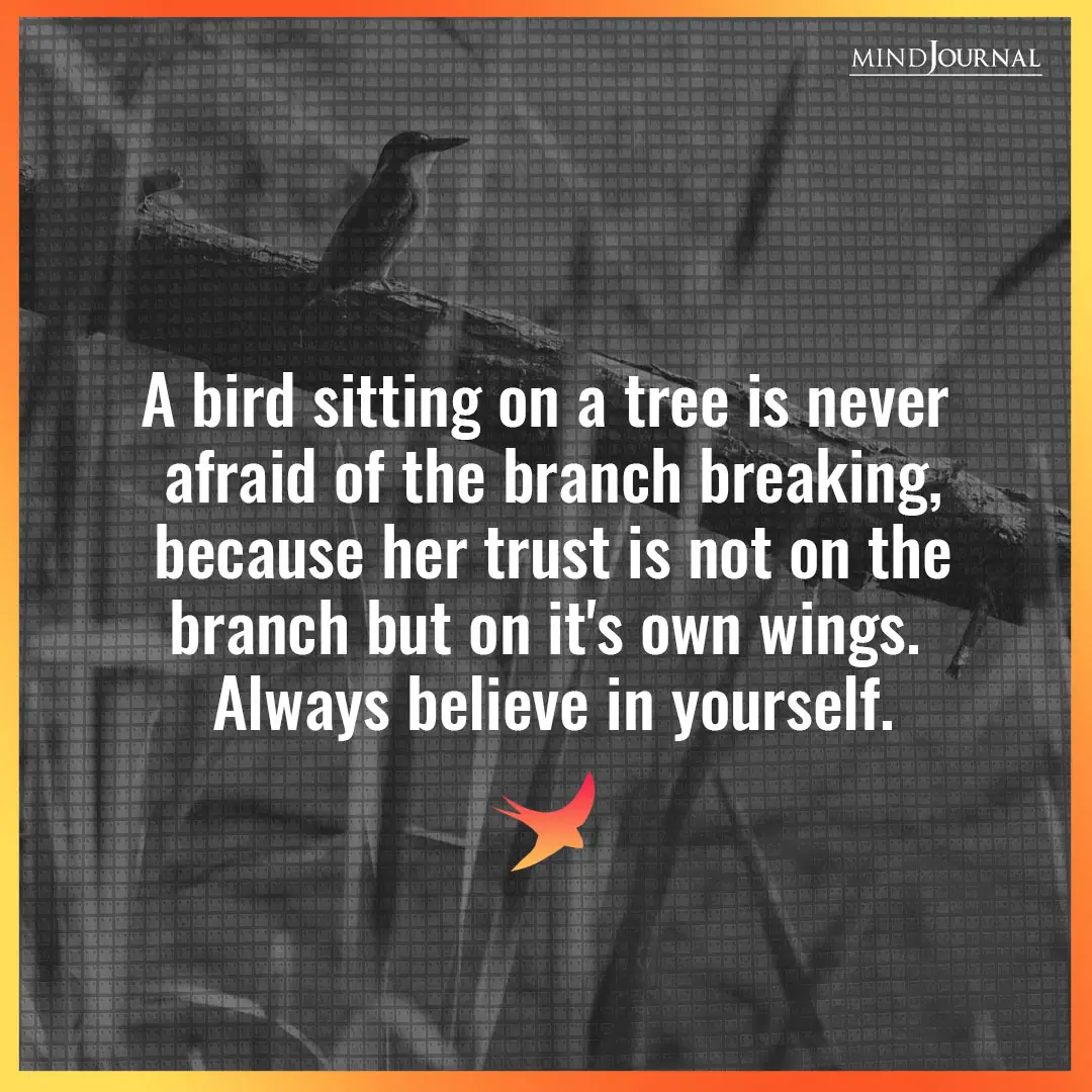 A bird sitting on a tree is never afraid.