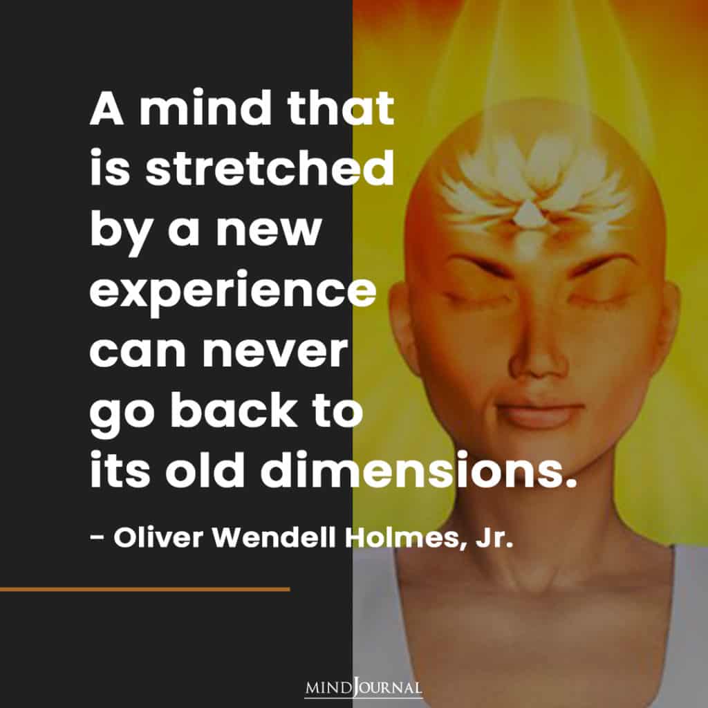 A mind that is stretched by a new experience.