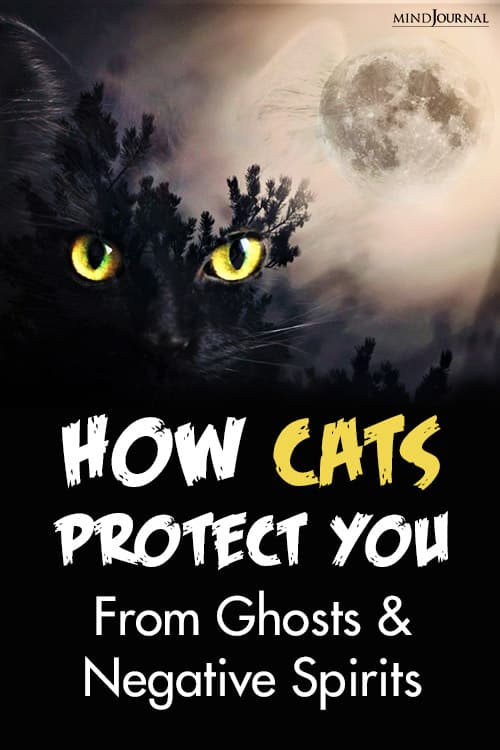 How Can Cats Protect You From Ghosts?