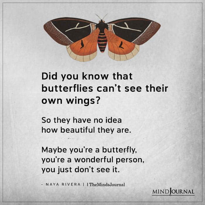 Did You Know That Butterflies Cant See Their Own Wings