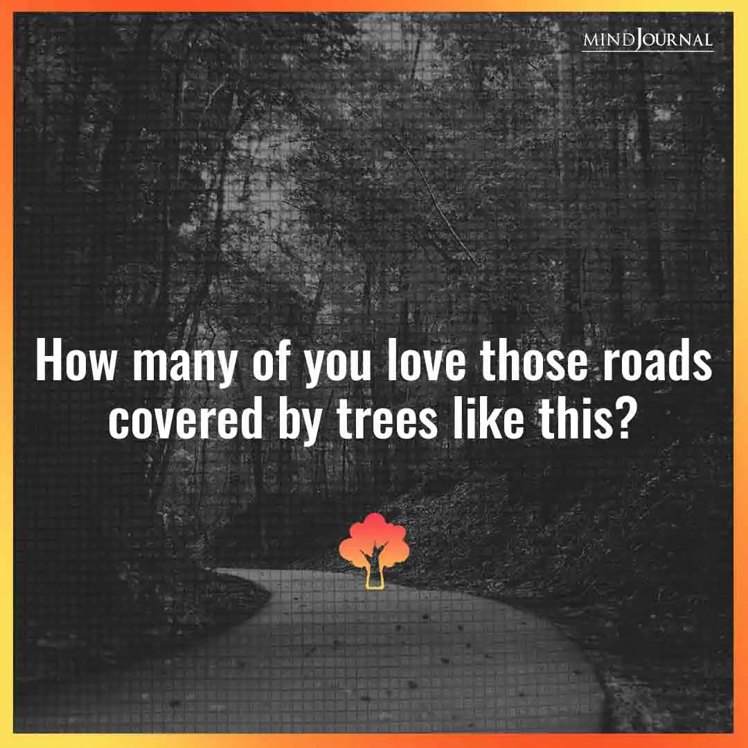 How Many Of You Love Those Roads