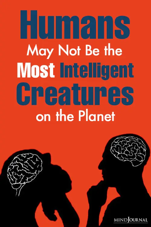Humans May Not Be Most Intelligent Creatures Planet Pin