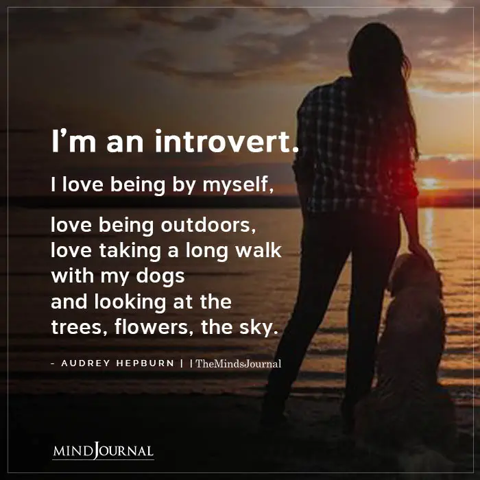 Im An Introvert I Love Being By Myself