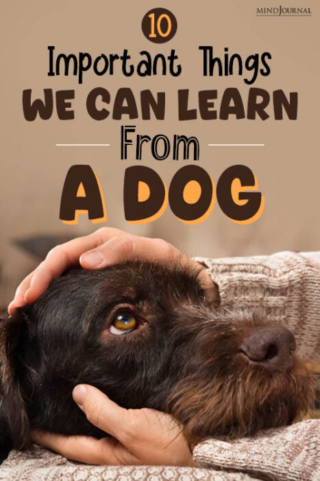 Important Things We Can Learn From A Dog pin