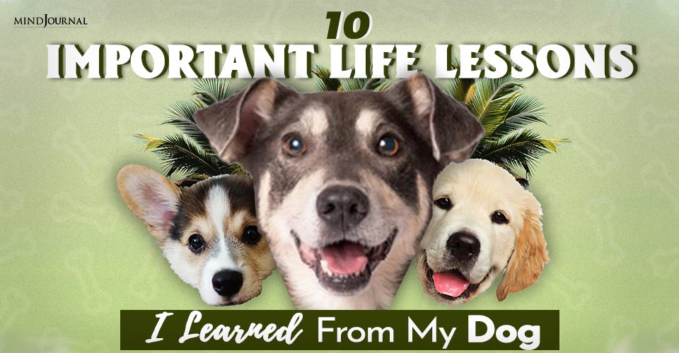 10 Important Life Lessons I Learned From My Dog