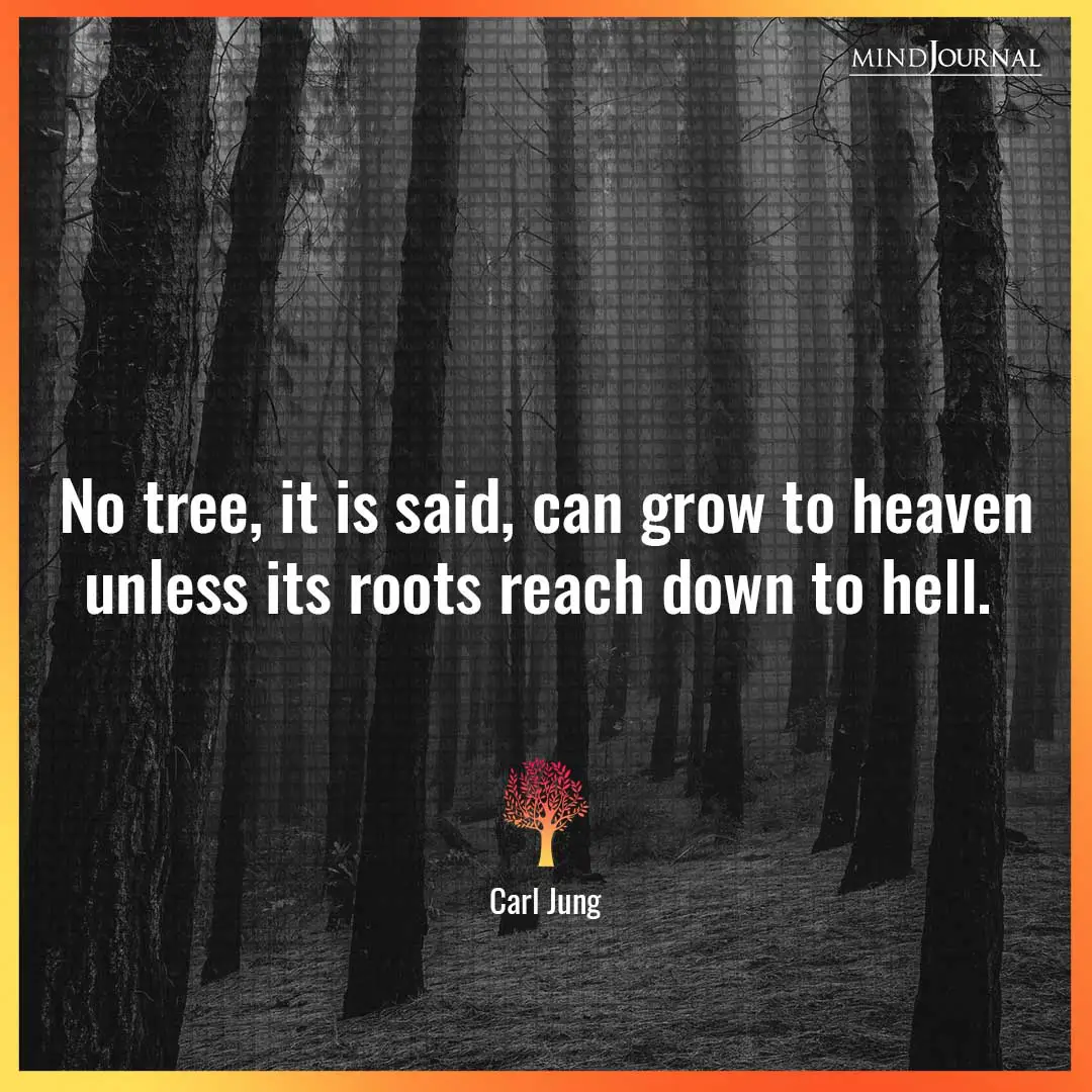 No Tree.