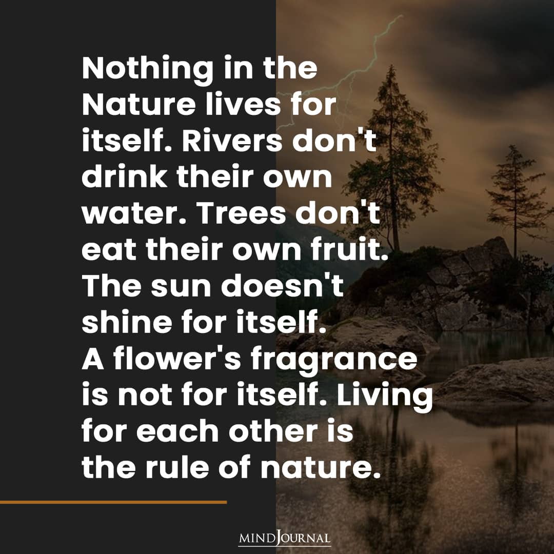 Nothing in the Nature lives for itself.