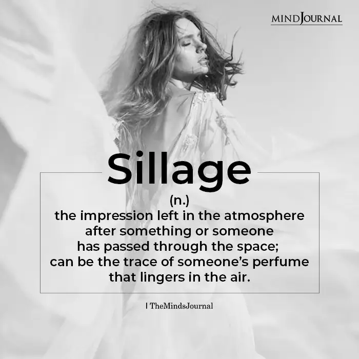 Sillage broadly means the impression