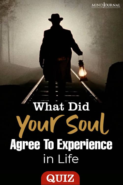 Soul Agree Experience In Life pin