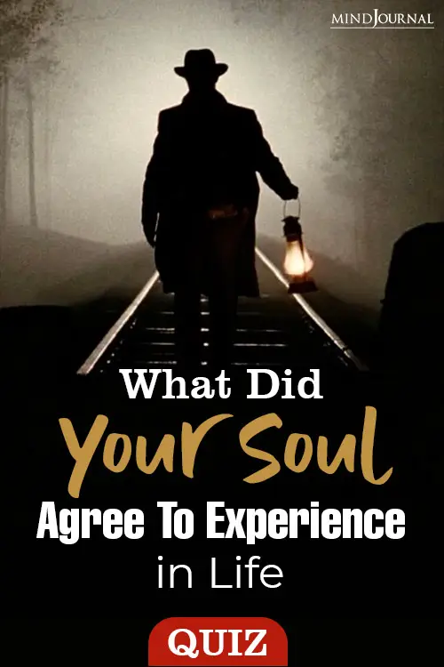 Soul Agree Experience In Life pin