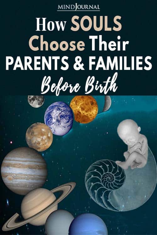 Souls Choose Parents Families Before Birth Pin