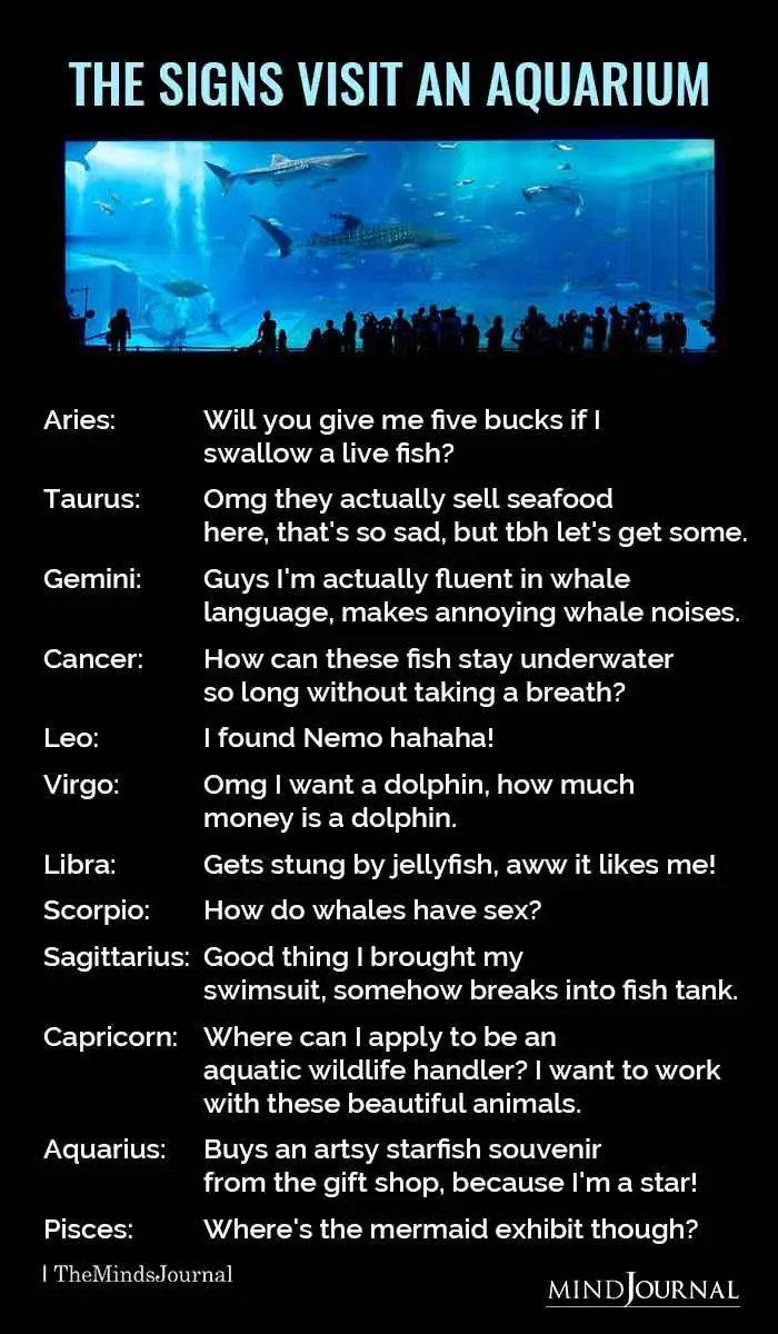 The Zodiac Signs Visit An Aquarium