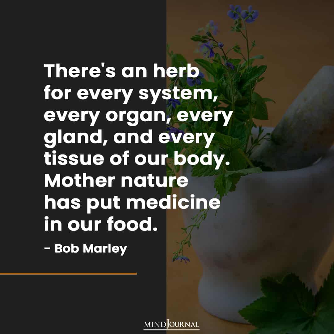 There's an herb for every system.
