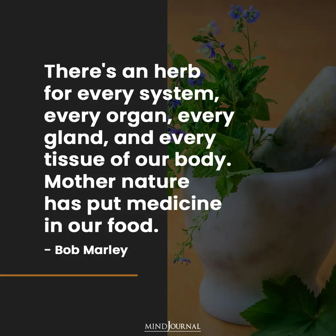 There's An Herb For Every System