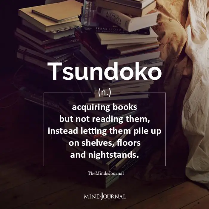 Tsundoko denotes acquiring books and other reading materials