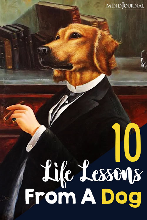 lifelesson from a dog international dog day pin