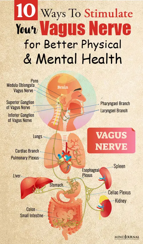 stimulate your vagus nerve pinop