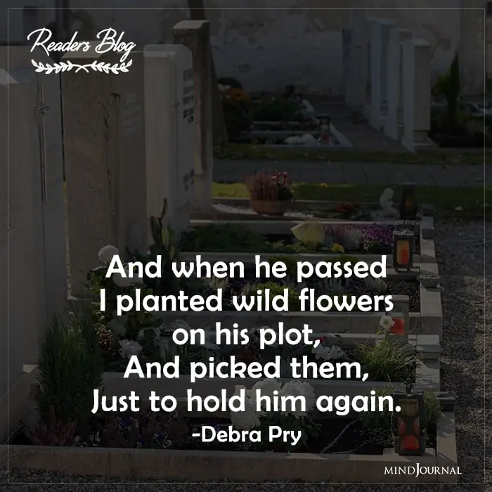 I Planted Wild Flowers On His Plot