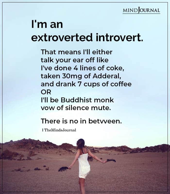 I'm An Extroverted Introvert