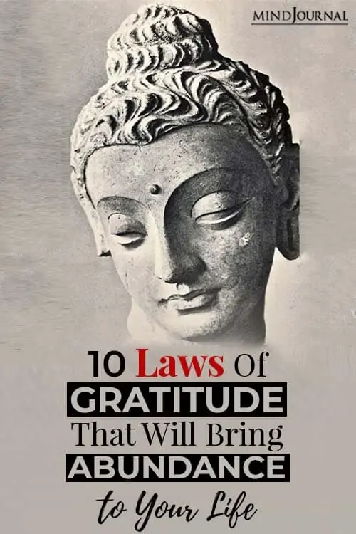 Laws Of Gratitude Bring Abundance Life pin