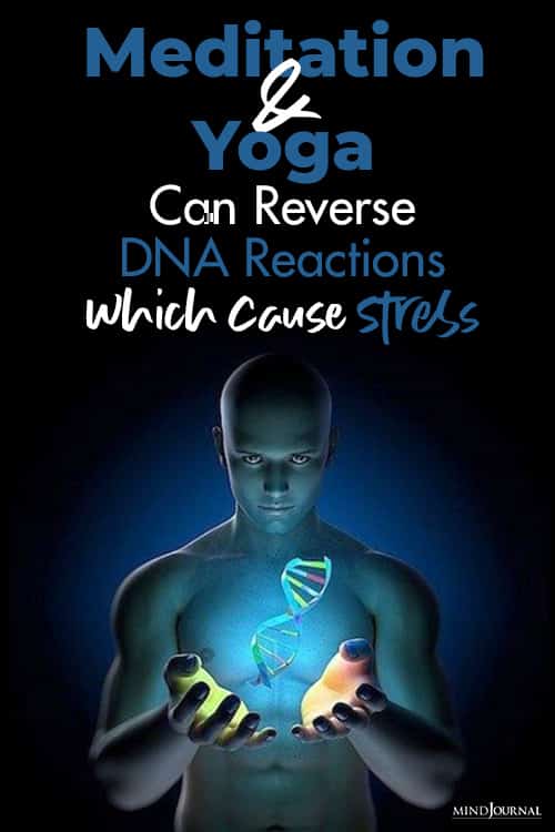 Meditation And Yoga Can Reverse DNA Reactions Which Cause Stress