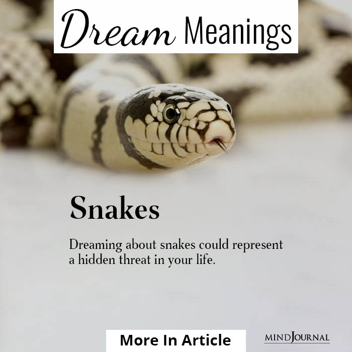 Mysterious Dreams Meanings Snakes