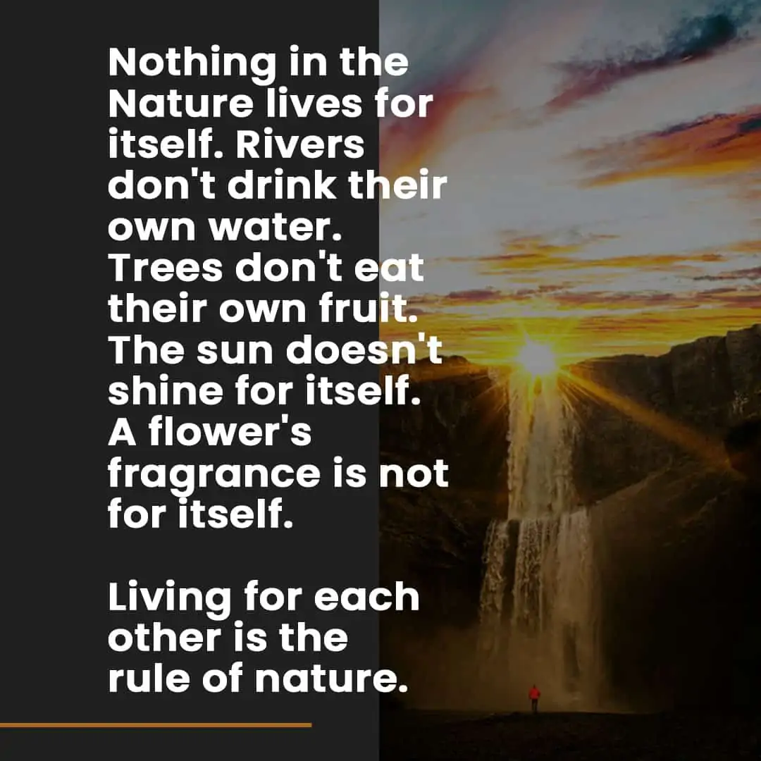 Nothing in the Nature lives for itself.