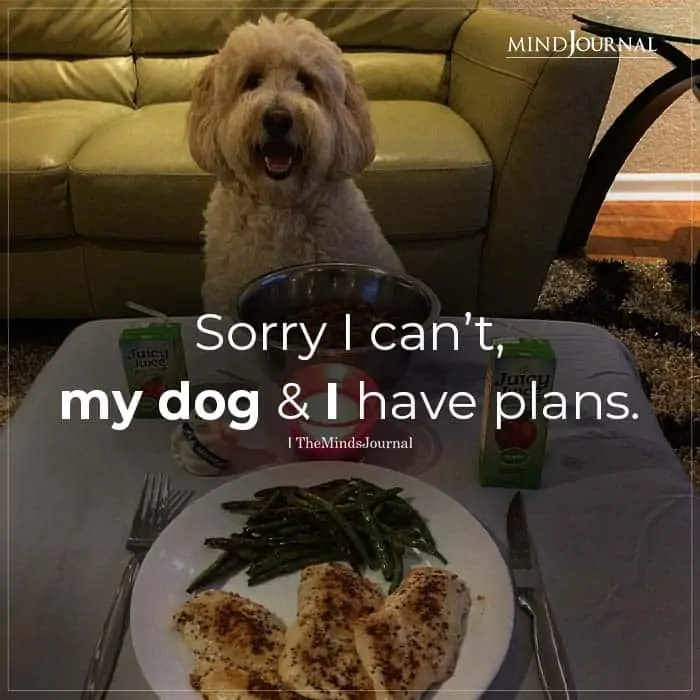 Sorry I Cant My Dog And I Have Plans