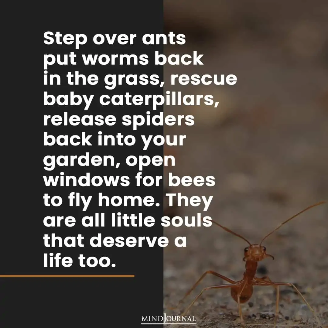 Step over ants