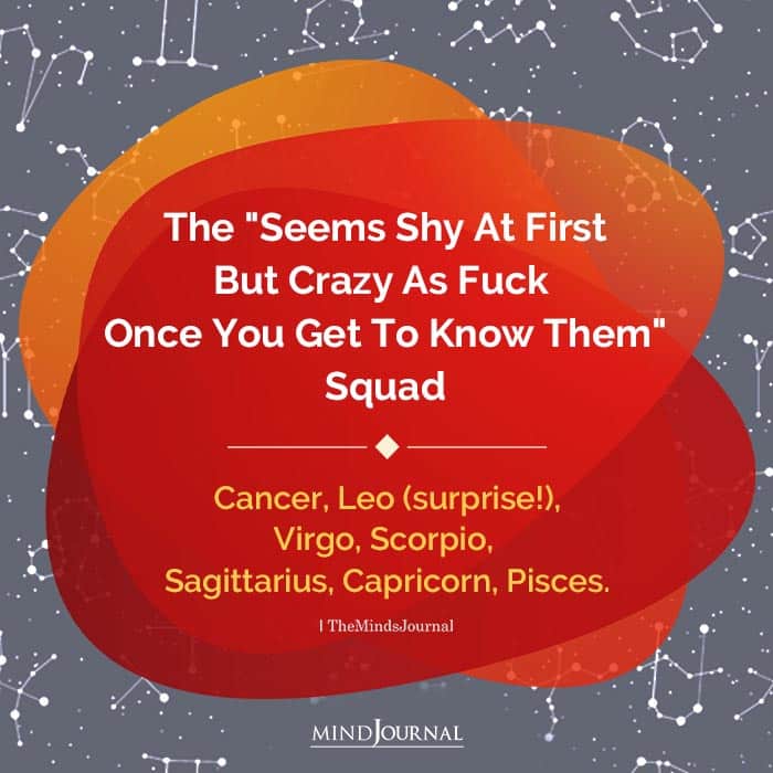 The “Seems Shy At First But Crazy As Fuck Once You Get To Know Them”