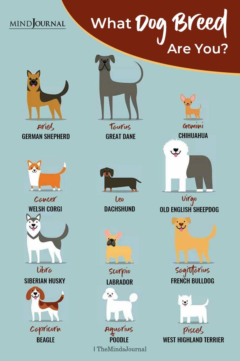 What Dog Breed Are You Based On Your Zodiac Sign
