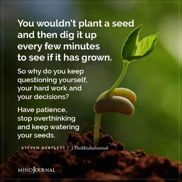 You Wouldnt Plant A Seed