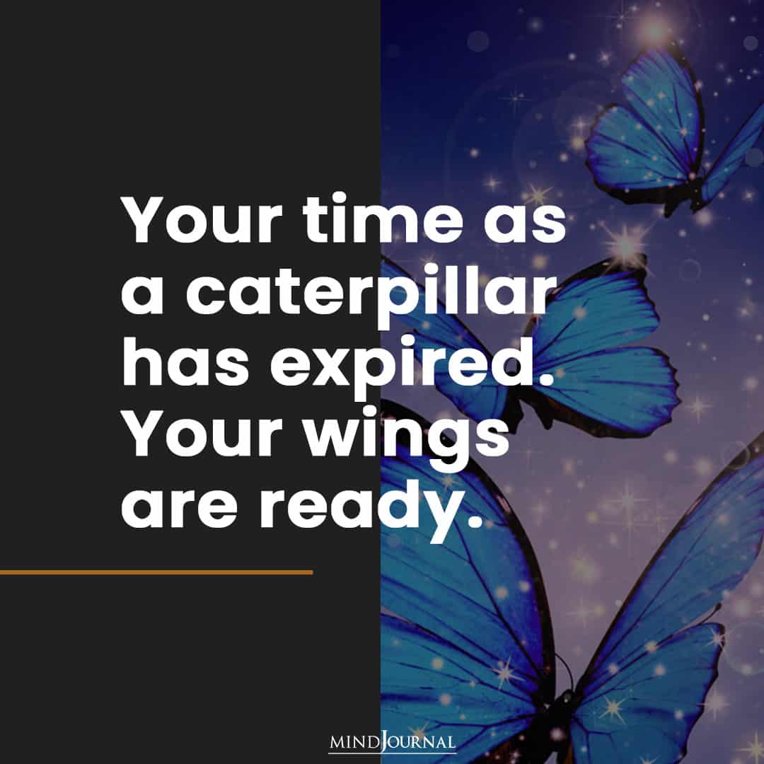 You time as a caterpillar has expired.