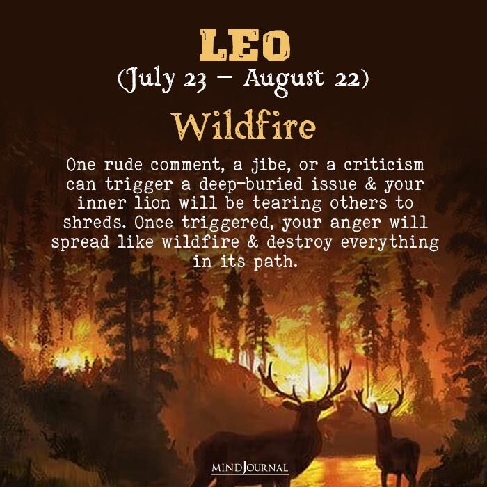 Zodiac Natural Disasters wildfire