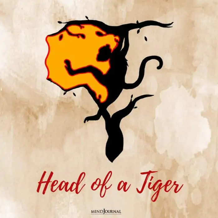 head of the tiger