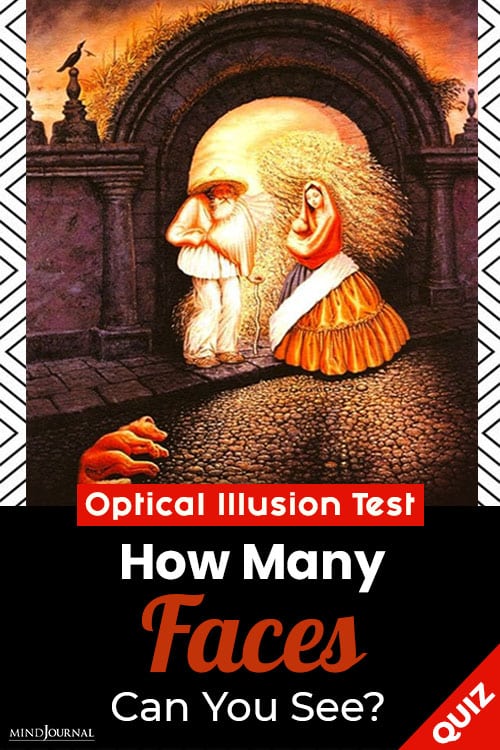 optical illusion Faces Can You See pin