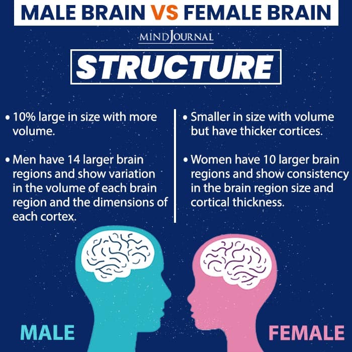 A Male Brain V/s A Female Brain -13 Interesting Differences