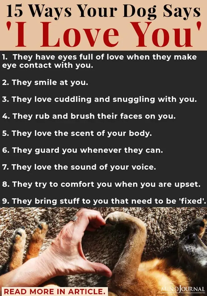 15 ways your dog says i love you info