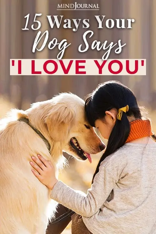15 ways your dog says i love you pin