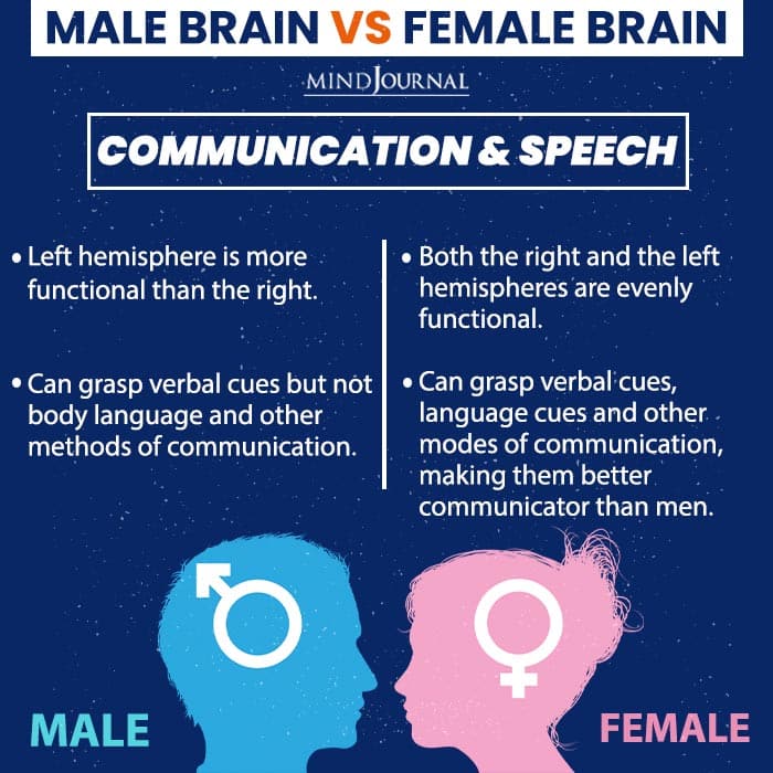 A Male Brain V/s A Female Brain: 13 Interesting Differences