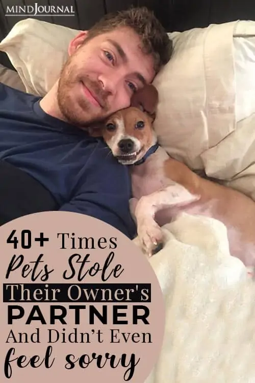 pets stole their owner's partner and didn’t even feel sorry pin