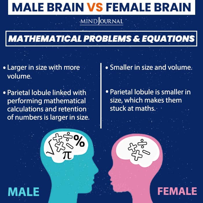 A Male Brain V/s A Female Brain: 13 Interesting Differences